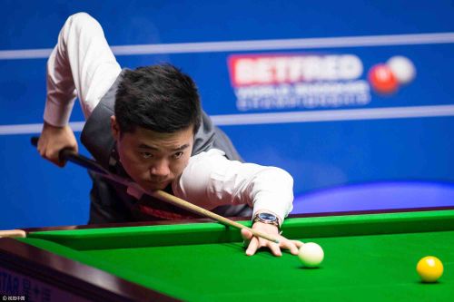 洲赛场上极 洲赛场上极