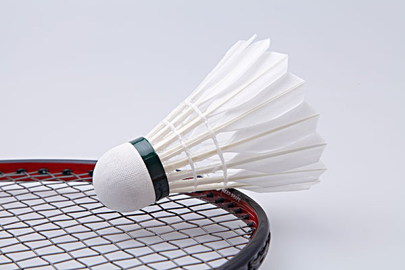 要集中在主 要集中在主